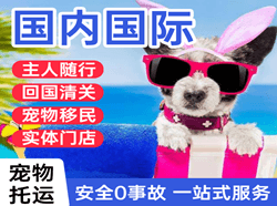 吉安井冈山航空运输国际宠物托运 【国
